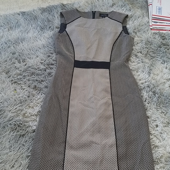 Tahari Dresses & Skirts - Neutral Patterned Business Dress
